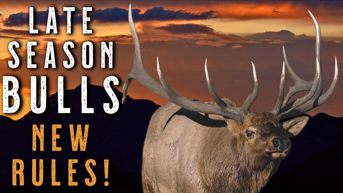 LATE SEASON ELK HUNTING TIPS | How Bull Behavior Changes After the Rut