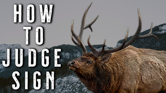 Late Season Elk Hunting Tips | Judging Sign in Cold Weather