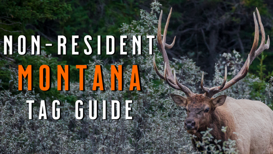 MONTANA Big Game Draw 2026 | How NON-RESIDENTS Apply for Elk, Mule Deer & Pronghorn