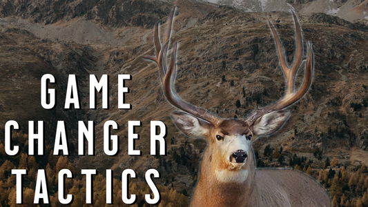 The Biggest Late-Season Mule Deer Hunting Mistakes (And How to Fix Them)