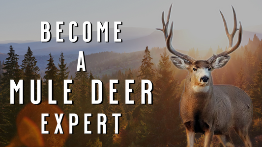 Mule Deer Hunting: 101 Mule Deer FACTS Every Western Hunter Must Know