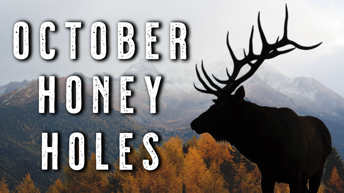 October Elk Hunting Tips | HIDDEN HONEY HOLES Most Hunters Miss