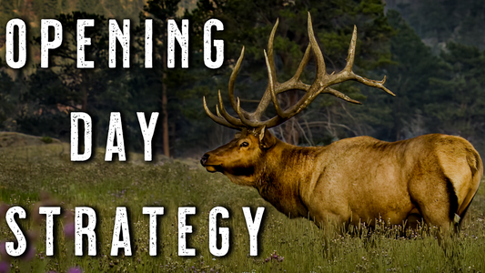 OPENING DAY Elk Hunting STRATEGIES | Archery Elk Hunting Tips for Public Land