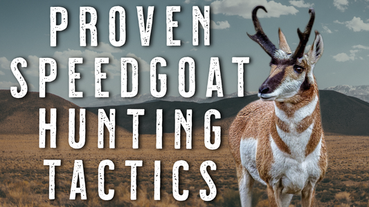 Pronghorn Antelope Hunting Tips - Public Land Strategies That Work to Kill More Bucks