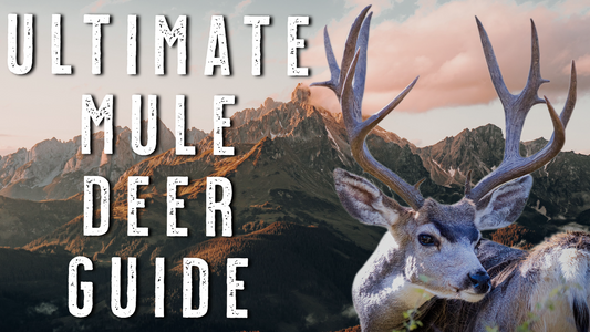 Public Land Mule Deer Hunting Tips - 33 Years of Strategies for Western DIY Hunters