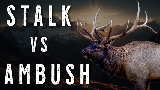Spot-and-Stalk vs Ambush | Best Elk Hunting Tactics for Every Rut Stage