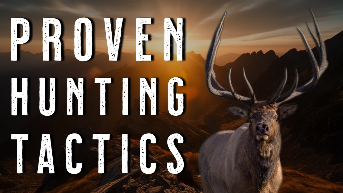 TOP 3 Backcountry Hunting Tactics for Elk and Mule Deer: Still, Ambush, Spot and Stalk