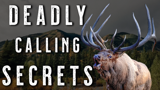 Tactical Elk Calling | Aggressive or Patient? Elk Hunting Tips