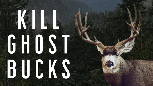 Still-Hunting Mule Deer Bucks in Timber: How to Hunt the Ghosts No One Else Sees