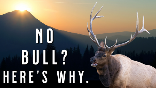 The GOLDEN RULE of Elk Hunting You Must Know