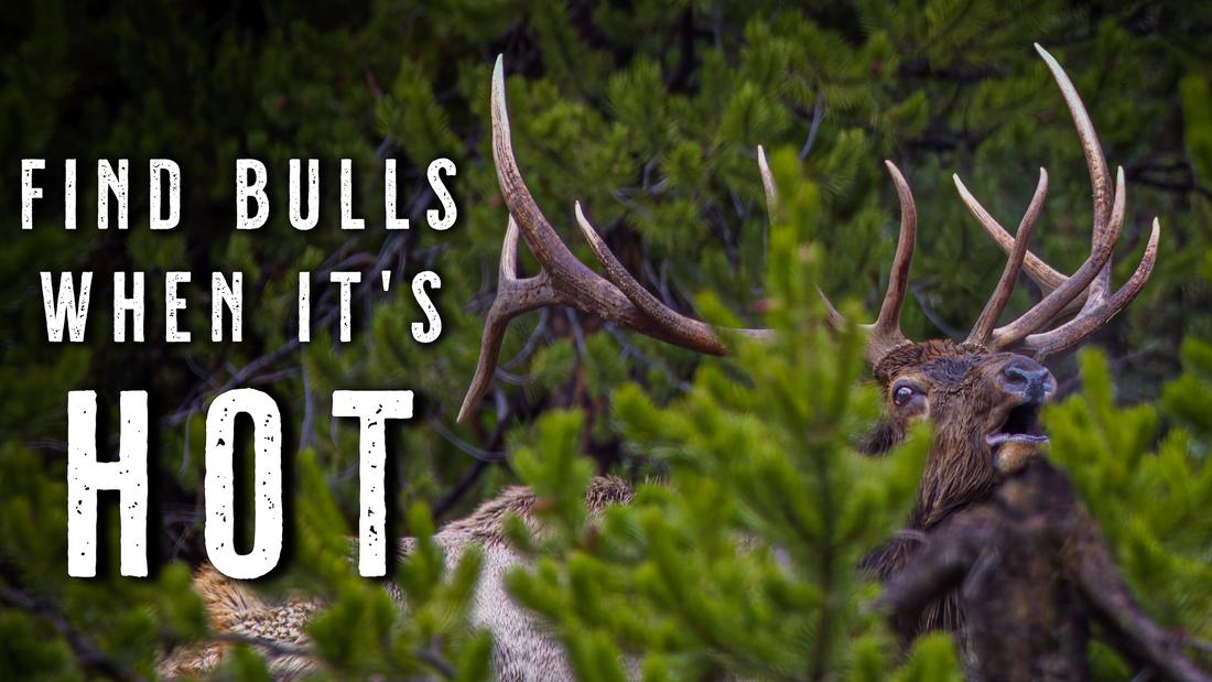 WARM WEATHER Elk Hunting Tactics | How to Hunt Elk in the Heat