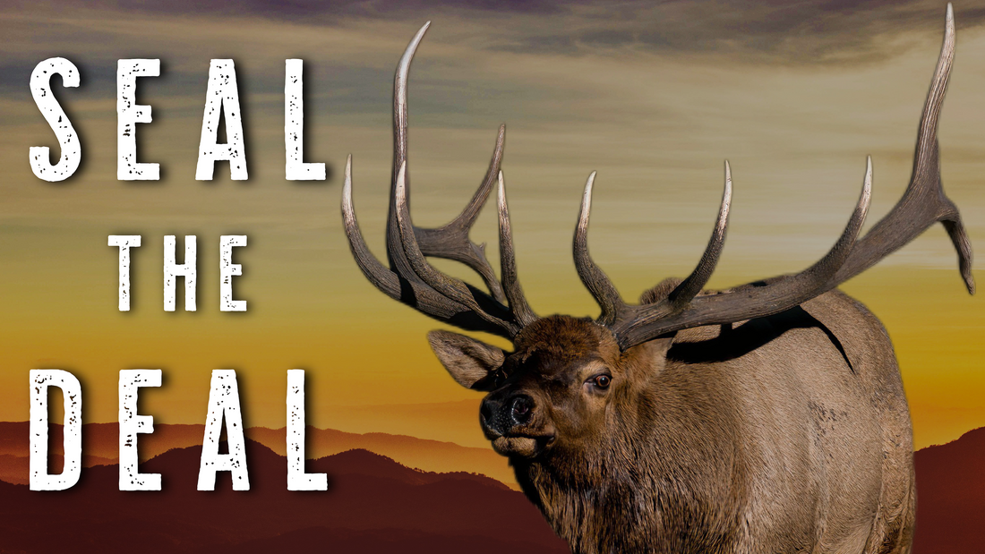 READ THIS Before Your ARCHERY ELK HUNT | Raw, Un-Cut Elk Hunting Advice