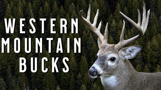 Western Mountain WHITETAILS | Deer Hunting Tactics for Rugged Country