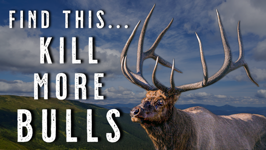What Do Elk Eat in Wyoming, Montana, Colorado and Idaho - Elk Hunting Tips and Tactics