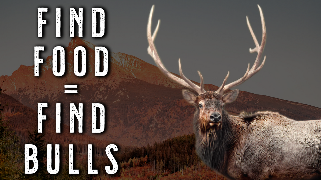 What ELK EAT in OCTOBER | Post-Rut Elk Hunting Tips to Find Them