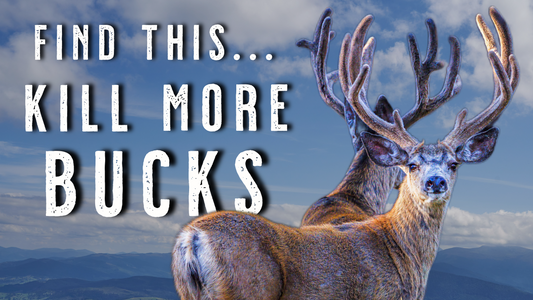 What Do Mule Deer Eat in Wyoming, Montana, Colorado & Idaho - Mule Deer Hunting Tips and Tactics