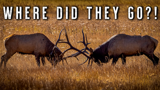 Where Do Elk Go AFTER OPENING WEEK? | Elk Hunting Pressure Tactics
