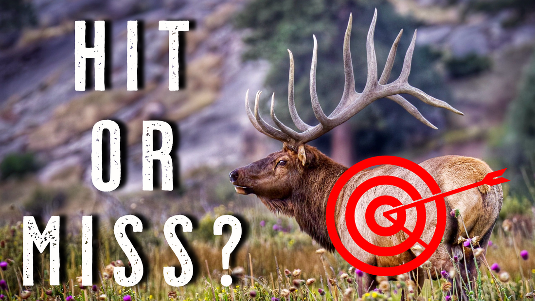 Where to SHOOT an ELK? Shot Placement Tips for Archery Elk Hunting