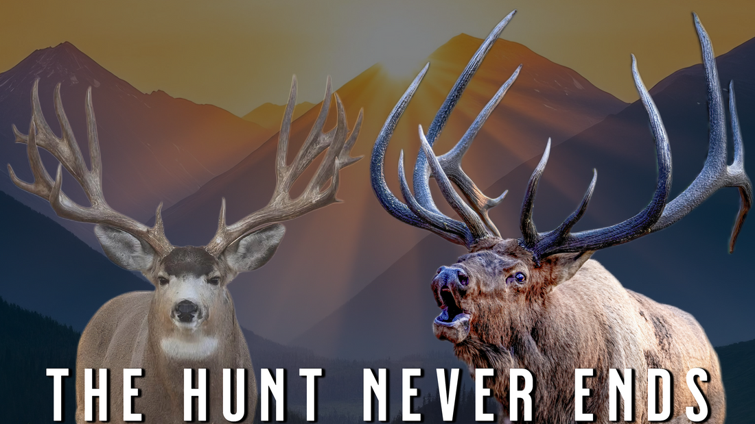 Year-Round Big-Game Hunting Success | 2026 Off-Season Strategy for Mule Deer + Elk Hunting