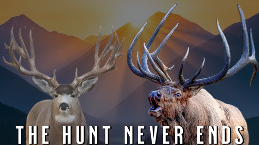 Year-Round Big-Game Hunting Success | 2026 Off-Season Strategy for Mule Deer + Elk Hunting