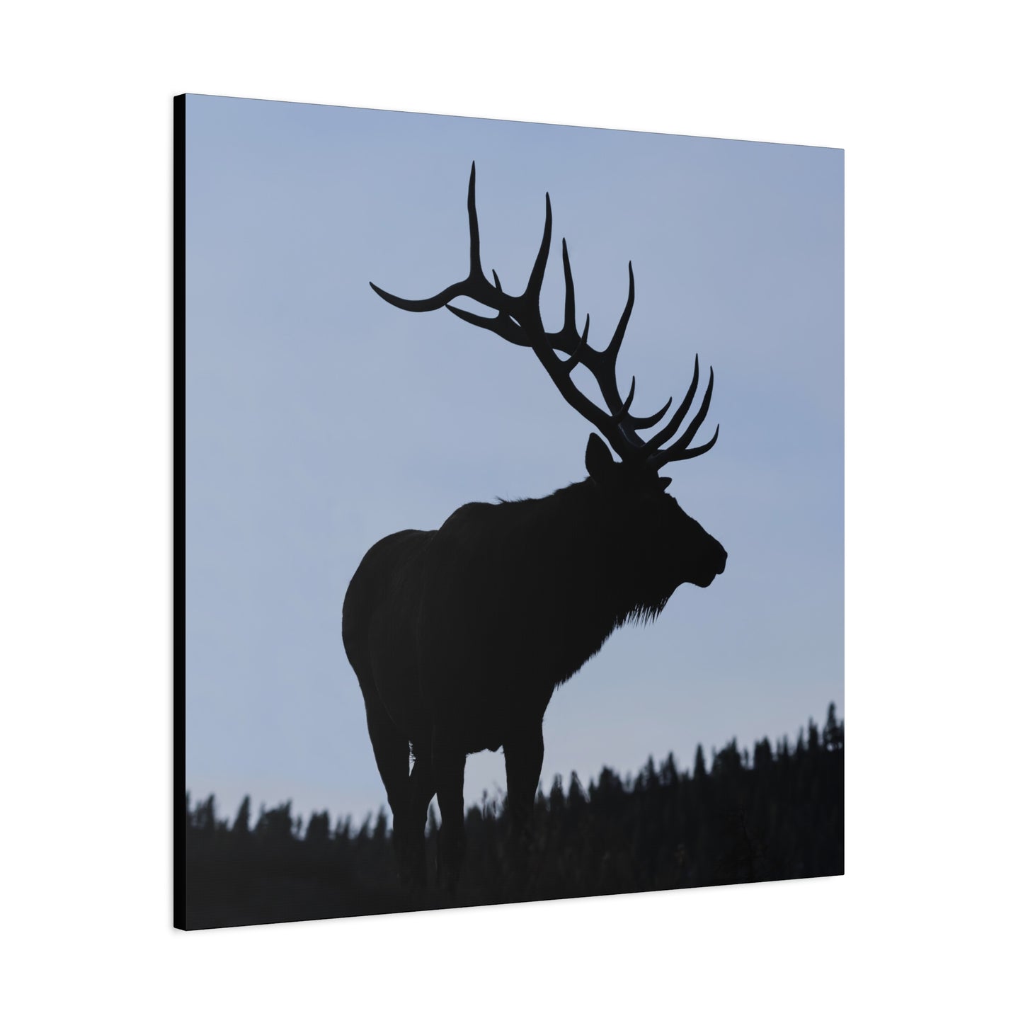 ROCKY MOUNTAIN SILHOUETTE BULL ELK STRETCHED CANVAS PRINT