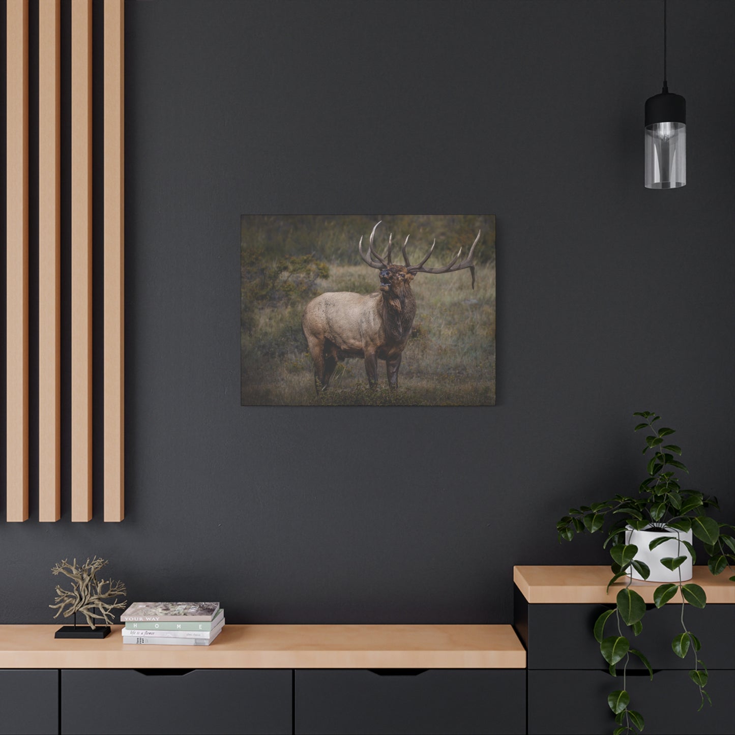 BEAMER BULL ELK STRETCHED CANVAS PRINT