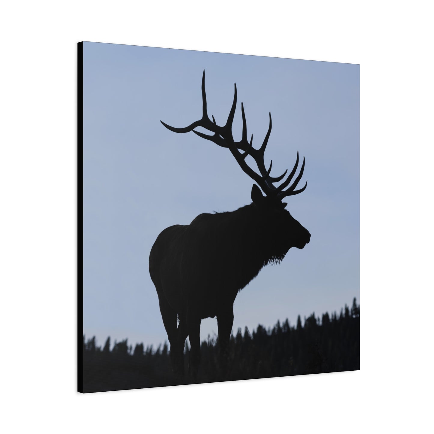 ROCKY MOUNTAIN SILHOUETTE BULL ELK STRETCHED CANVAS PRINT