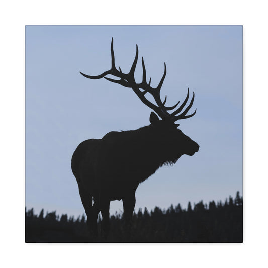ROCKY MOUNTAIN SILHOUETTE BULL ELK STRETCHED CANVAS PRINT