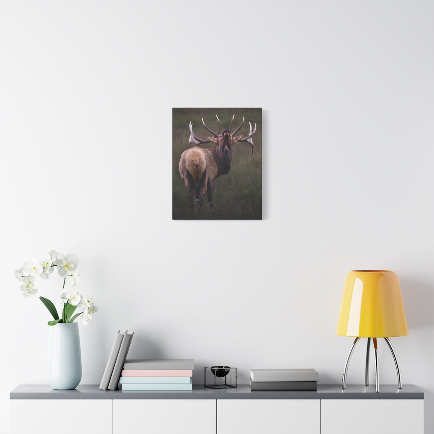 BEYOND BULL ELK STRETCHED CANVAS PRINT