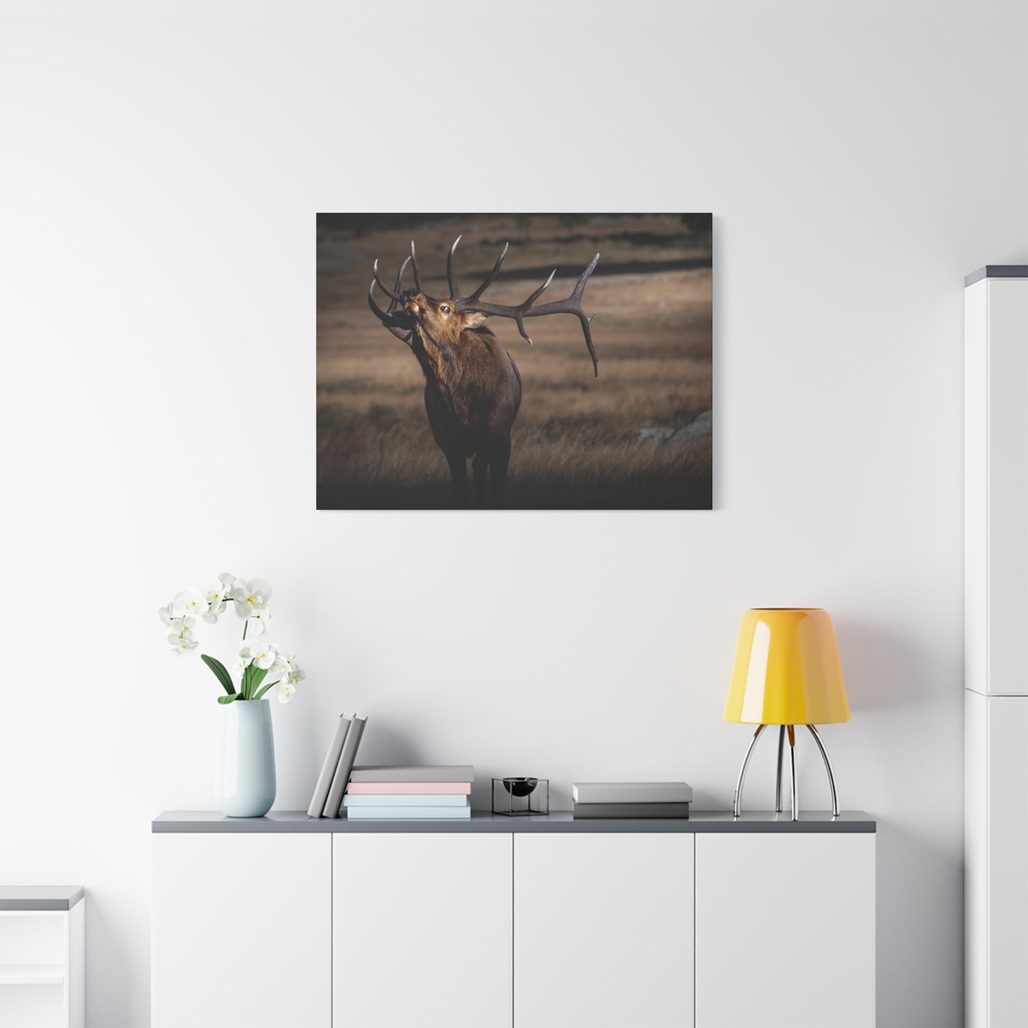 WILD SIDE BULL ELK STRETCHED CANVAS PRINT