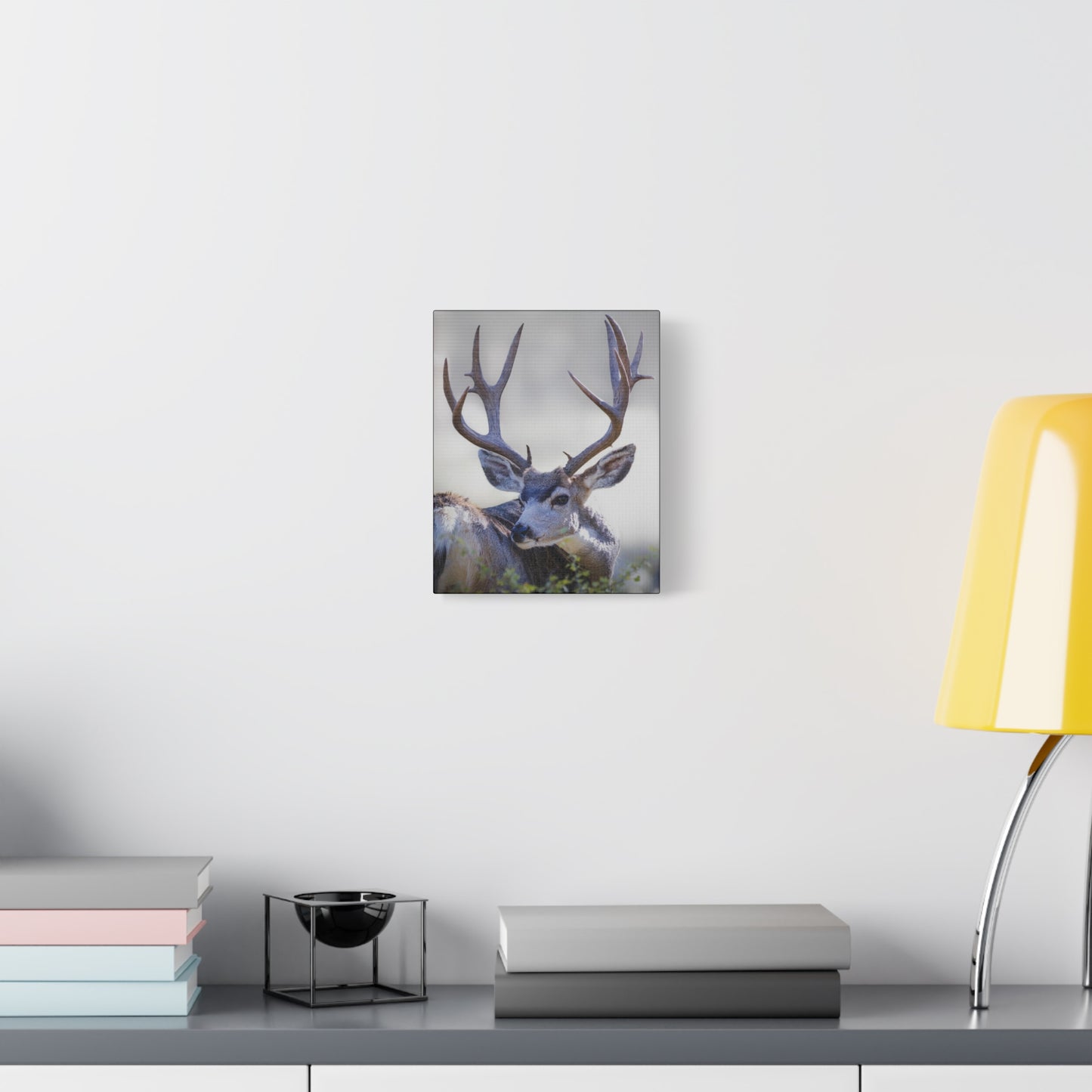 STICKERS MULE DEER BUCK STRETCHED CANVAS PRINT