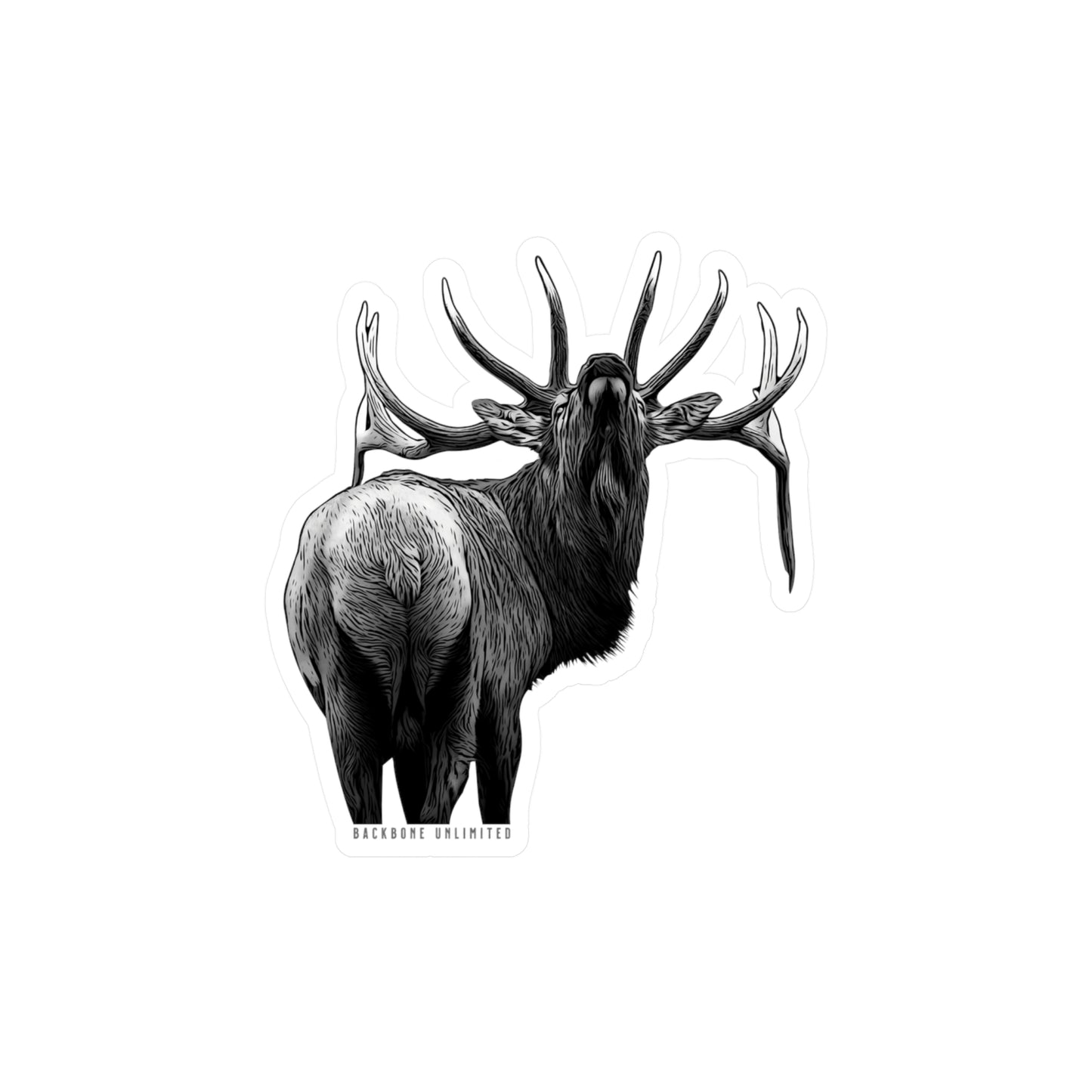 BEYOND BULL ELK STICKERS