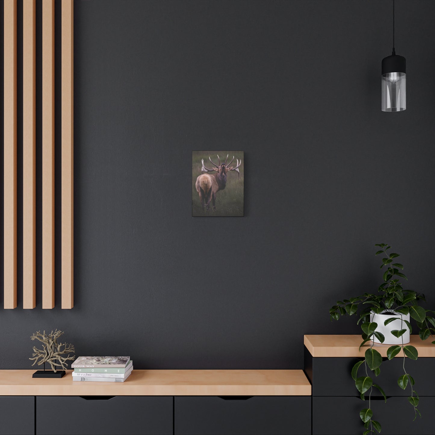 BEYOND BULL ELK STRETCHED CANVAS PRINT