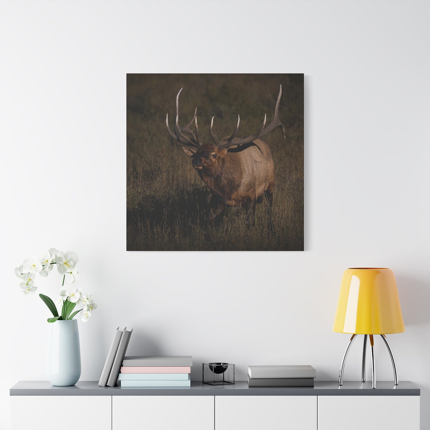 LAID BACK BULL ELK STRETCHED CANVAS PRINT
