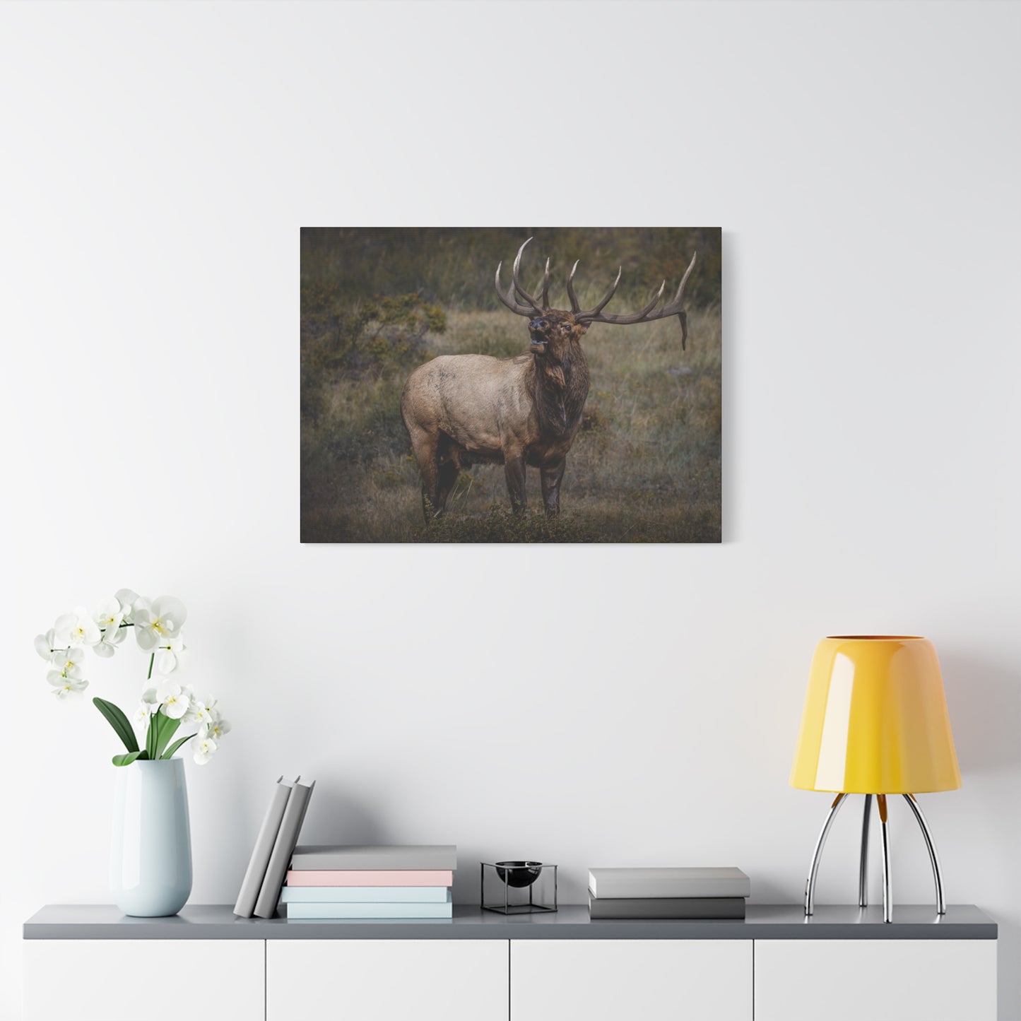 BEAMER BULL ELK STRETCHED CANVAS PRINT