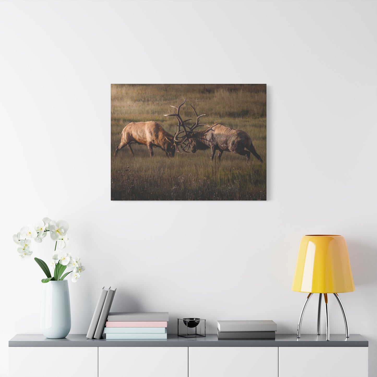 LOCKED IN LIGHT BULL ELK STRETCHED CANVAS PRINT