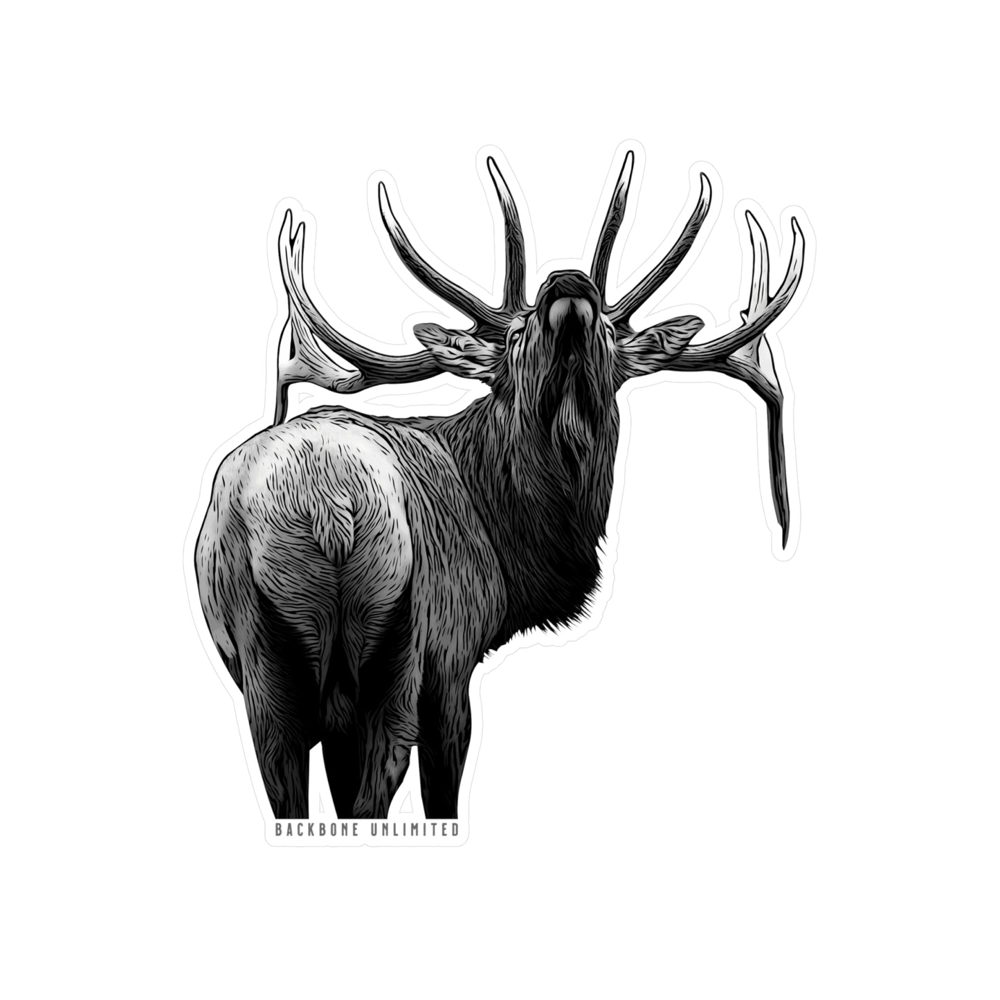 BEYOND BULL ELK STICKERS