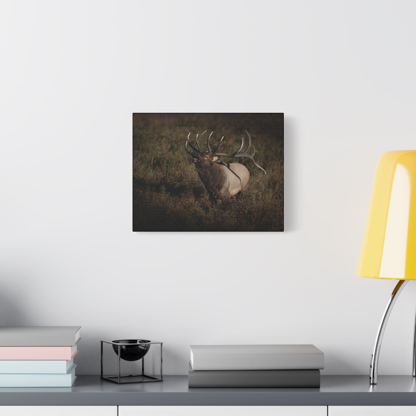 SPLIT DECISION BULL ELK STRETCHED CANVAS PRINT