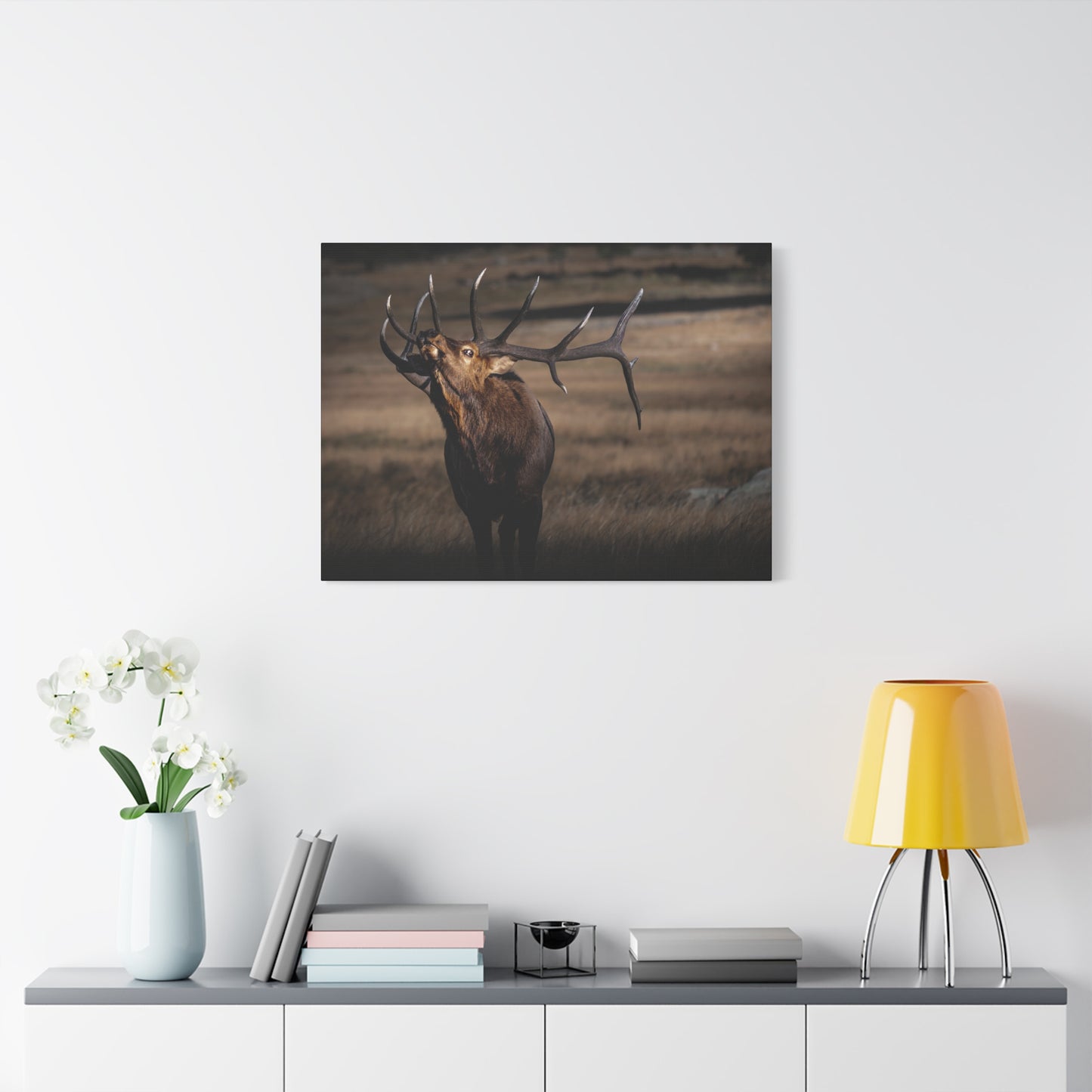 WILD SIDE BULL ELK STRETCHED CANVAS PRINT