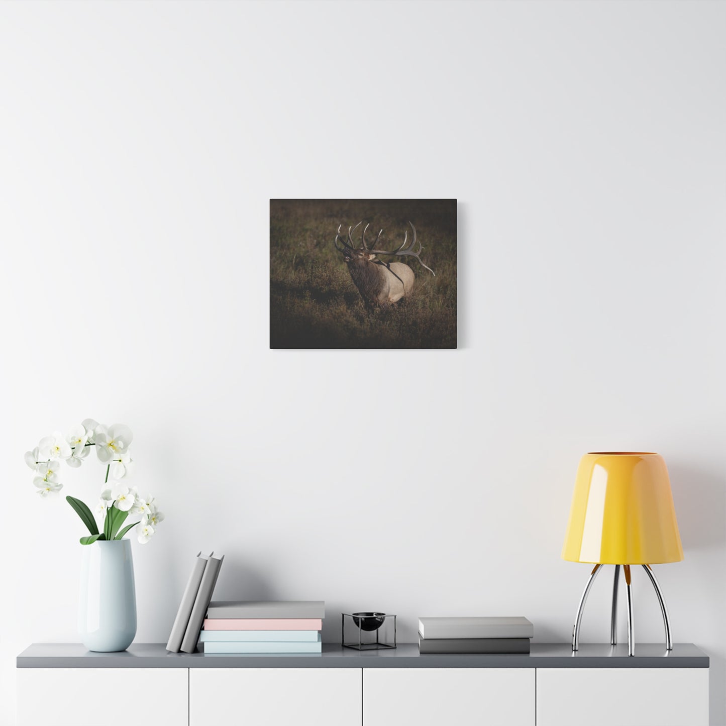 SPLIT DECISION BULL ELK STRETCHED CANVAS PRINT
