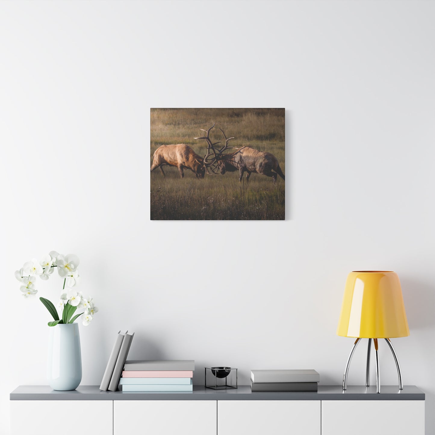 LOCKED IN LIGHT BULL ELK STRETCHED CANVAS PRINT
