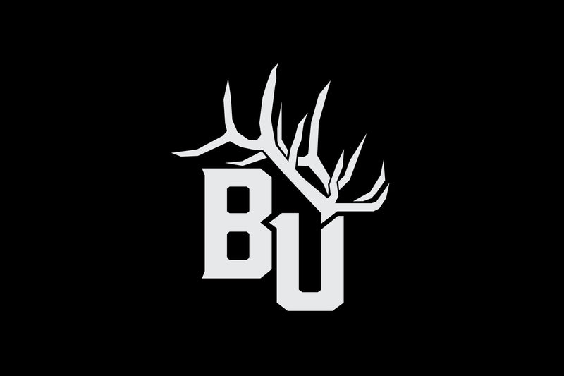 ABOUT BACKBONE UNLIMITED